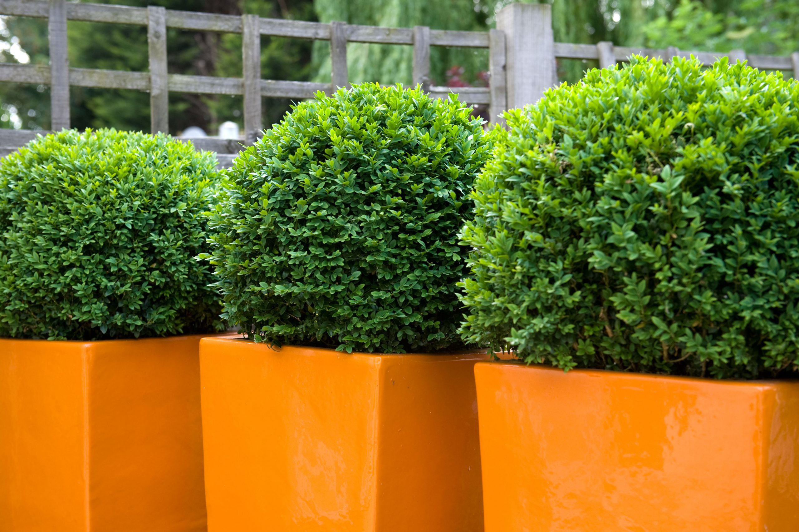 Fibreglass planters