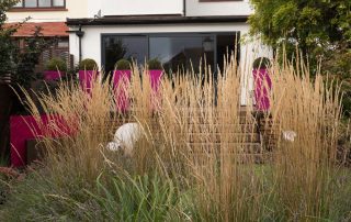 family-friendly garden with grass acting as a translucen