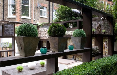 Box hedge