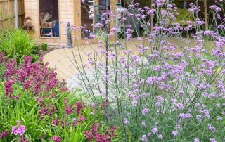 Sensory Garden Design in Essex