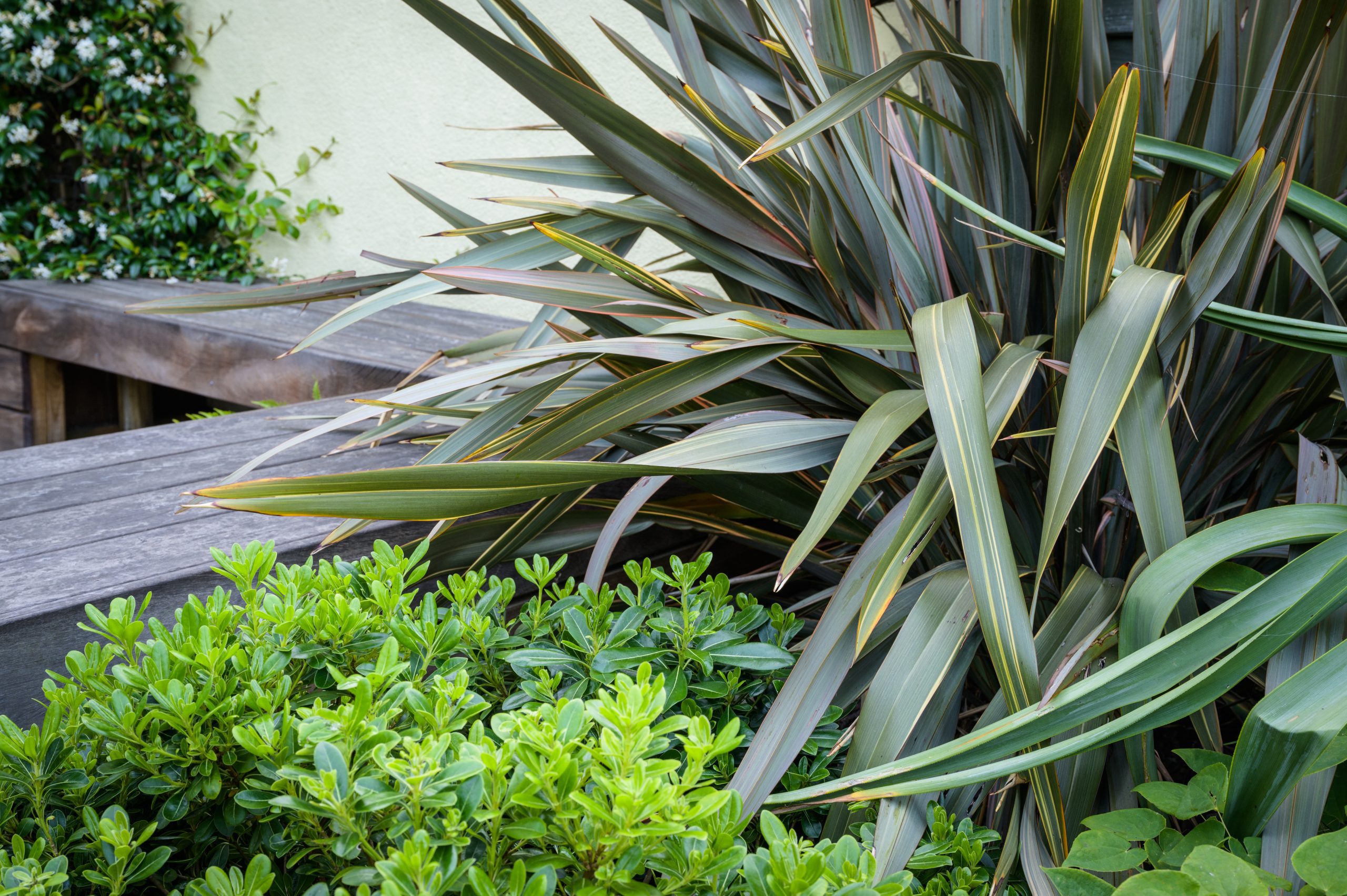 Garden Grow-How: Picture perfect winter gardens, but not as you know them