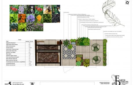 courtyard planting ED406