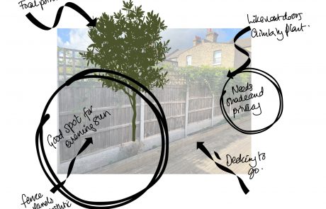 ED431 Garden analysis