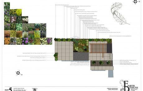 ED431 garden planting plan