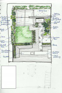 ED195-scamp-internet-200×300 family garden design