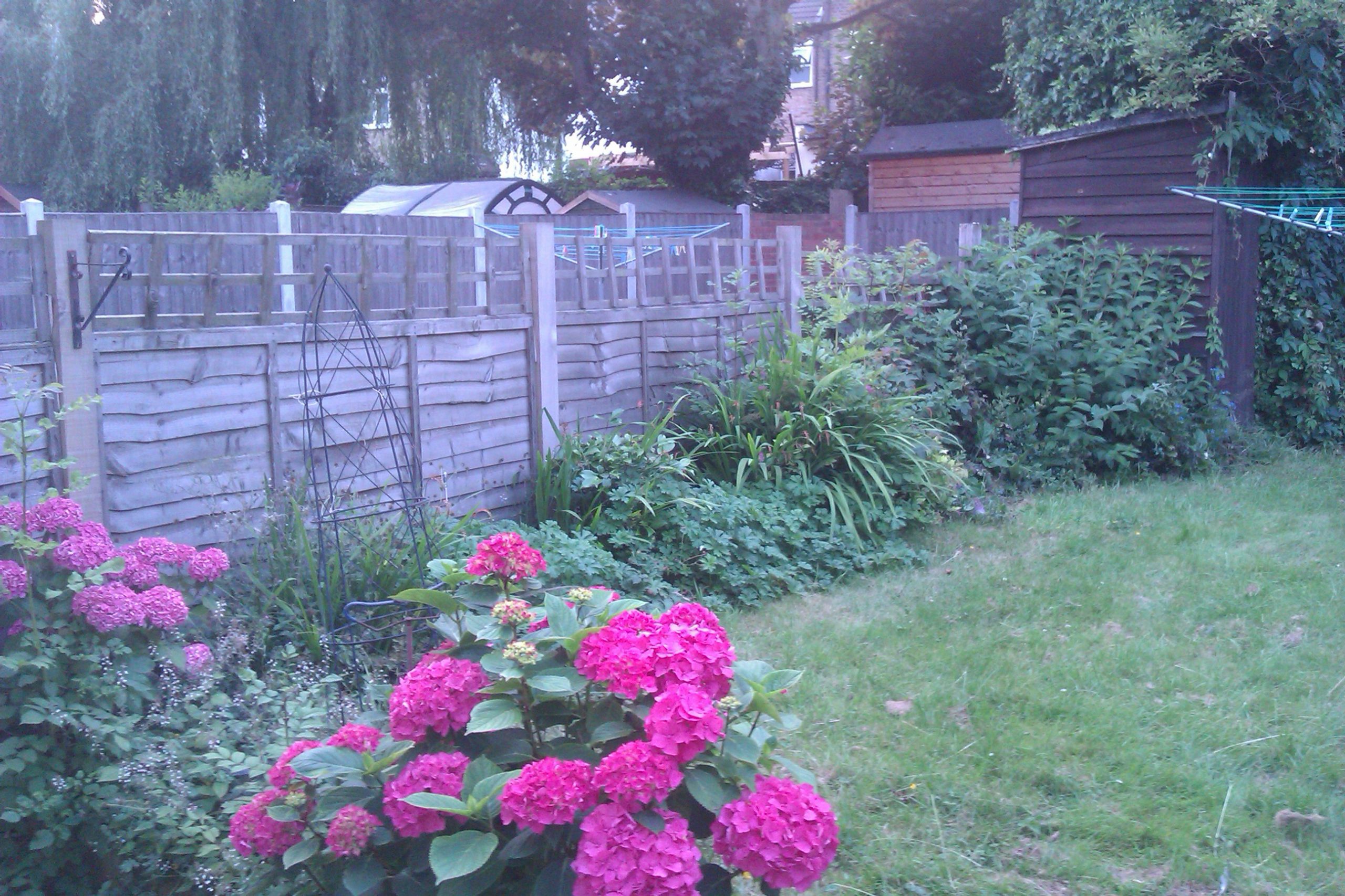 IMAG0698 family garden design