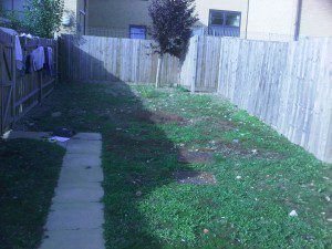 IMG00008-20100901-1714-300×225 family garden design