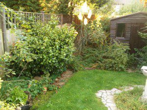 IMG00147-20101006-1737-300×225 family garden design