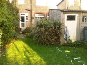 IMG00154-20101006-1738-300×225 family garden design