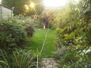 IMG00161-20101006-1751-300×225 family garden design