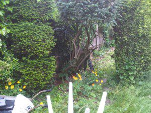 family garden design