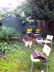 IMG_0641-300×224 family garden design
