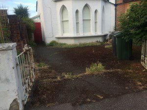 IMG_6912-300×225 family garden design
