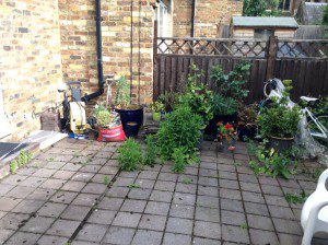 Photo-01-06-2015-09-12-44-am-300×224 family garden design
