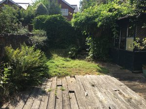 Photo-06-07-2018-16-12-16-300×225 family garden design