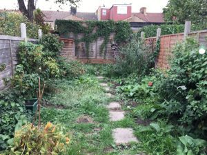 Photo-12-09-2018-16-57-49-300×225 family garden design