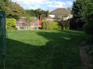 Photo-25-04-2015-17-31-47-300×224 family garden design