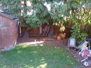 XL802451-300×225-1 family garden design
