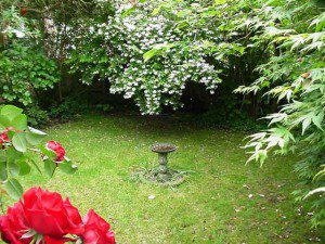 14-300×225 family garden design