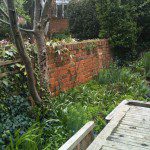 6-parliment-hill-1-150×150 family garden design