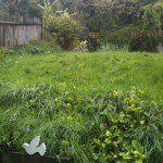 8-Muswell-Hill-garden-150×150 family garden design