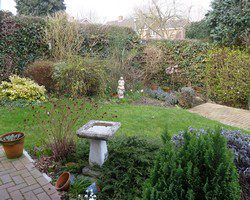 BackGarden family garden design