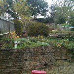 Clinic-4-image-1-150×150 family garden design