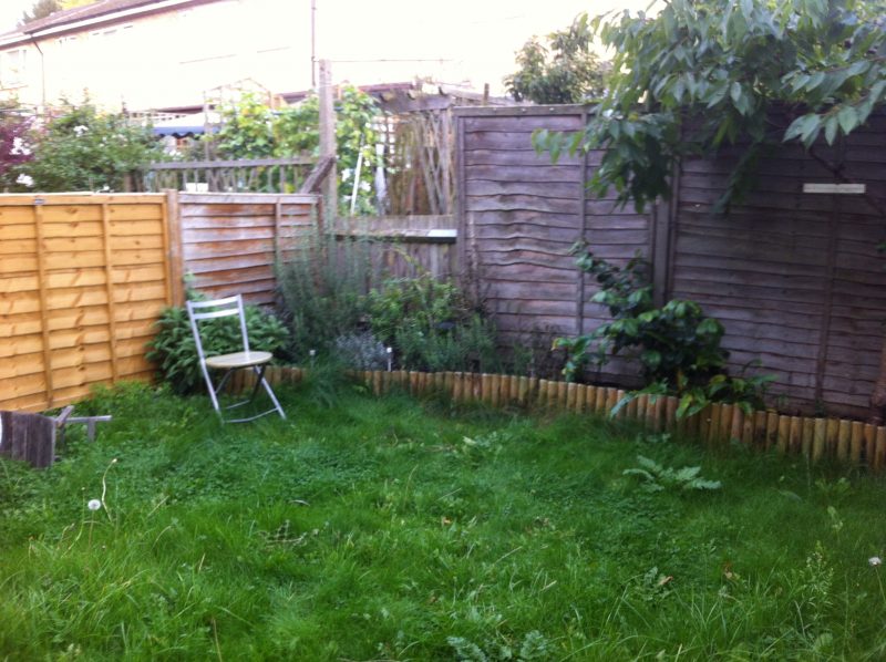 Crofton-Park-2-800×598 family garden design