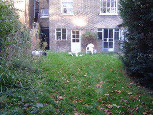 DSC00032-300×225 family garden design