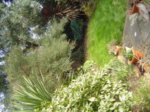 DSC00038-300×225 family garden design