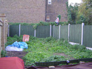 DSC00046-300×225 family garden design