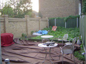 DSC000471-300×225 family garden design