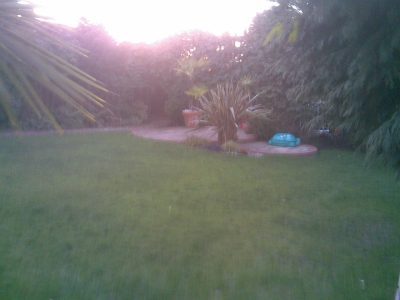 Garden-Design-in-East-London-400×300 family garden design