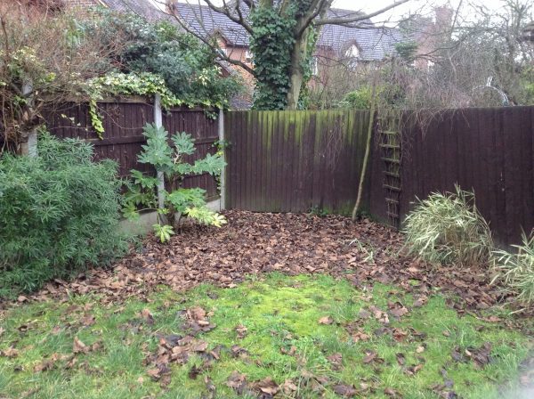IMG_1238-600×448 family garden design