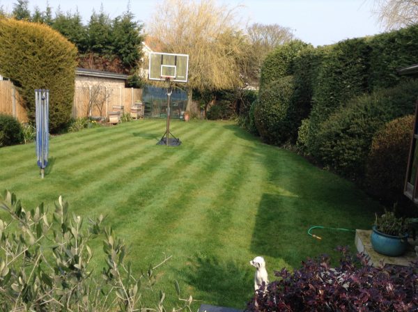 Photo-17-03-2015-11-42-14-600×448 family garden design