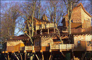 alnwick_garden_tree_house_470x305-300×194 family garden design
