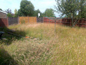 family garden design