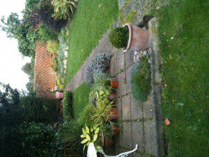 photo-300×225 family garden design
