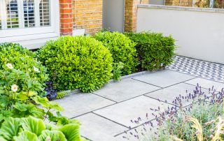 Terrace house front garden view of bushes and patio