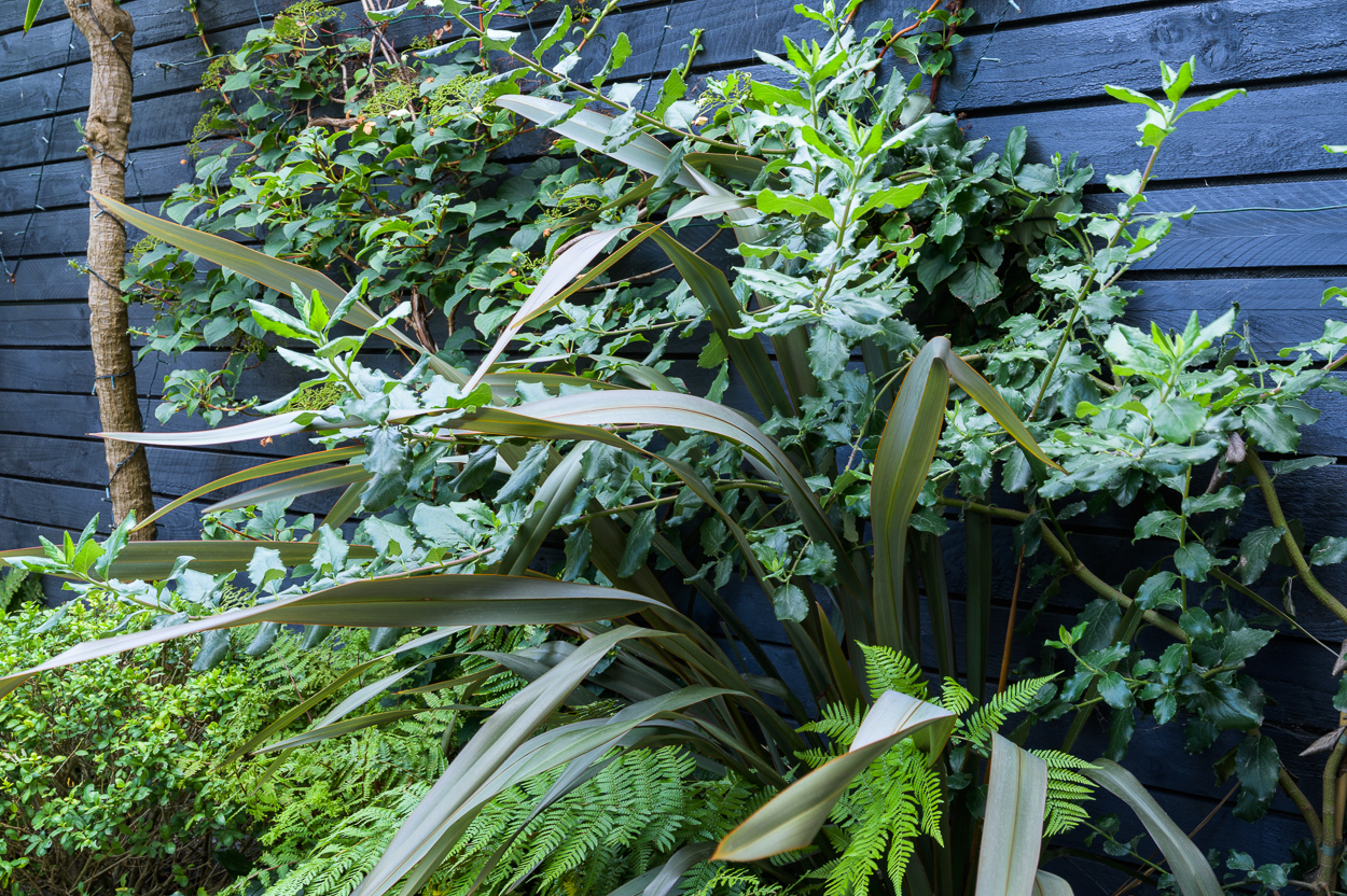 Image 4 – planting