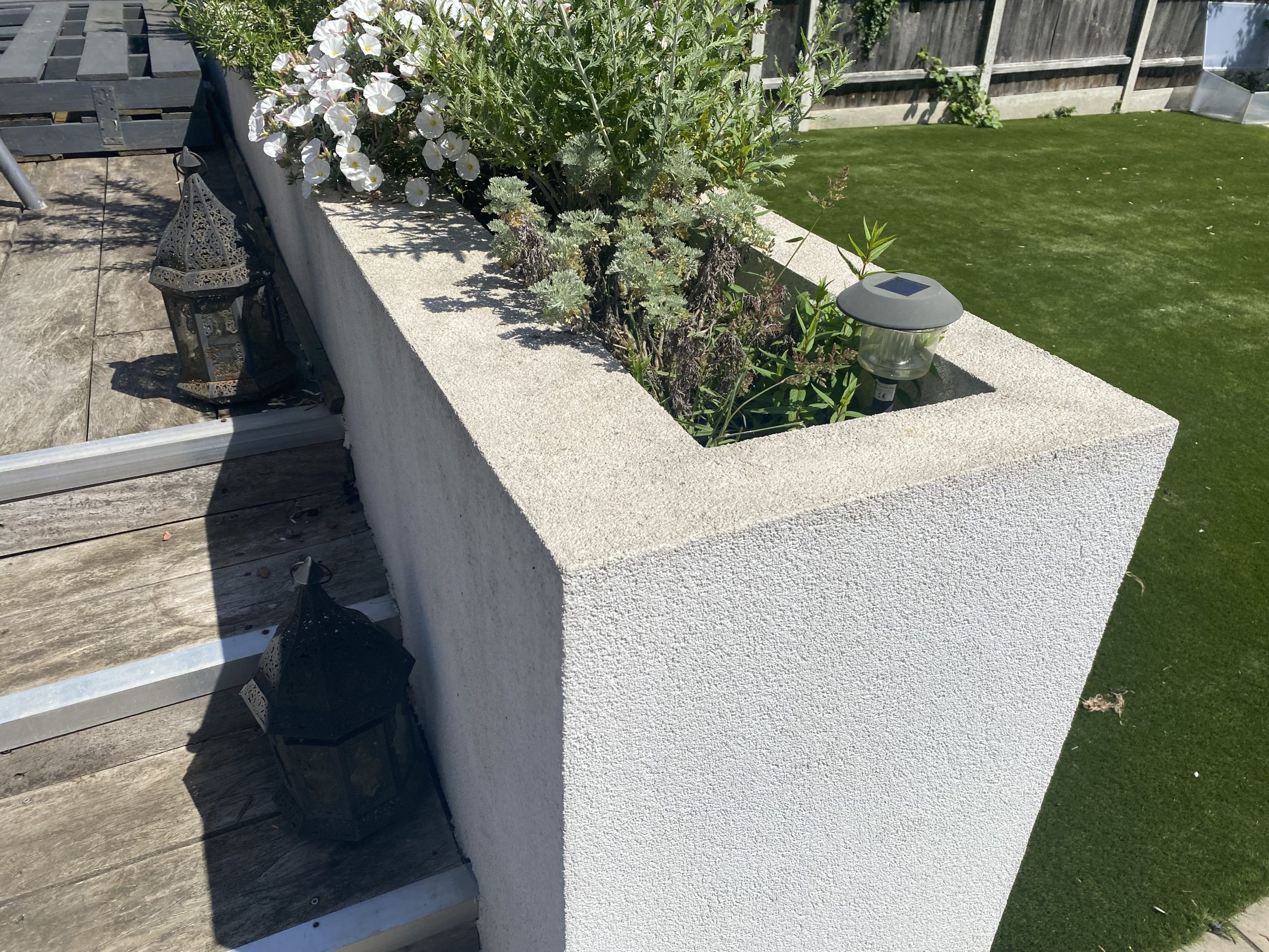 plants before garden transformation