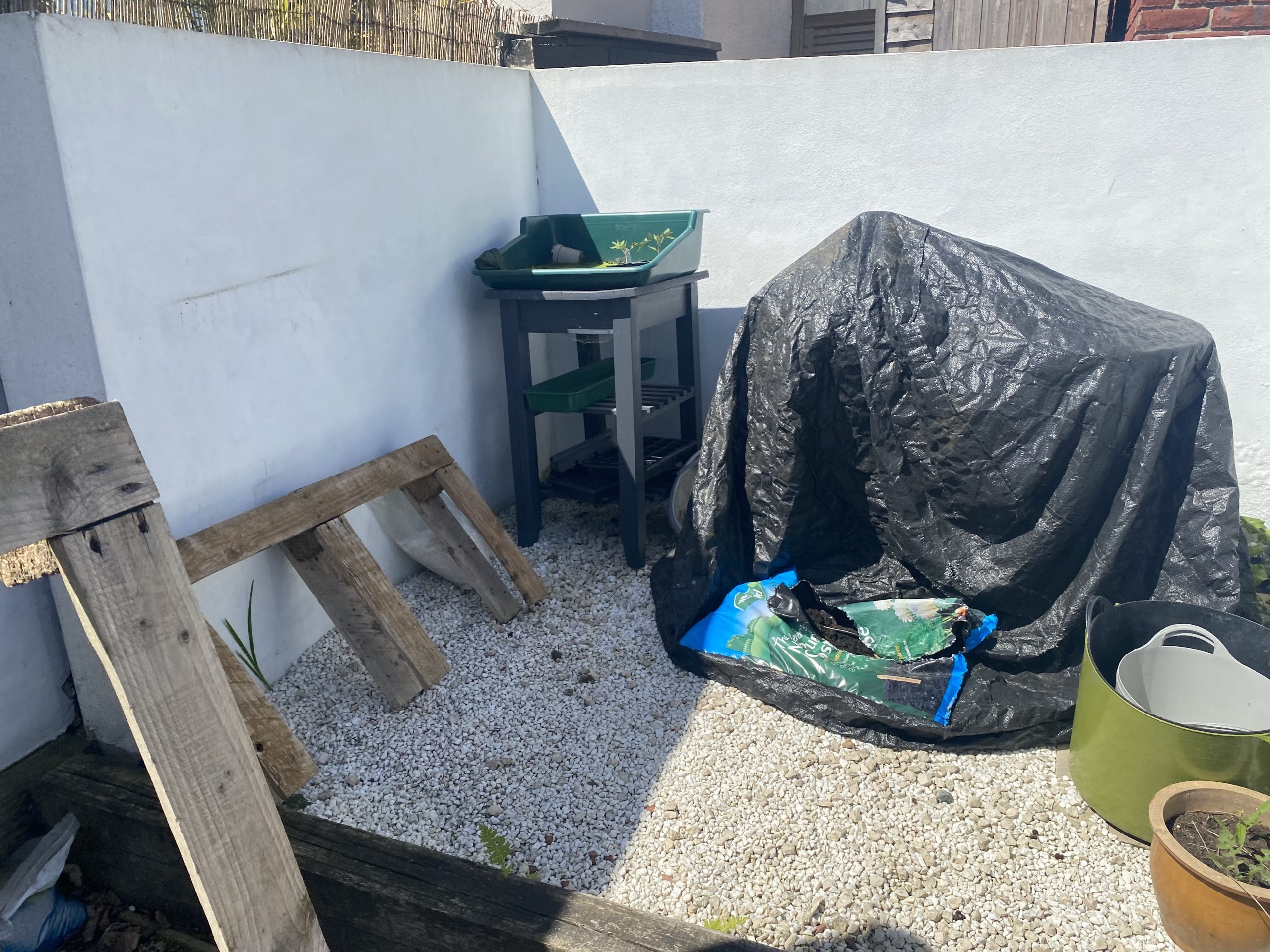 before ed gardens design service